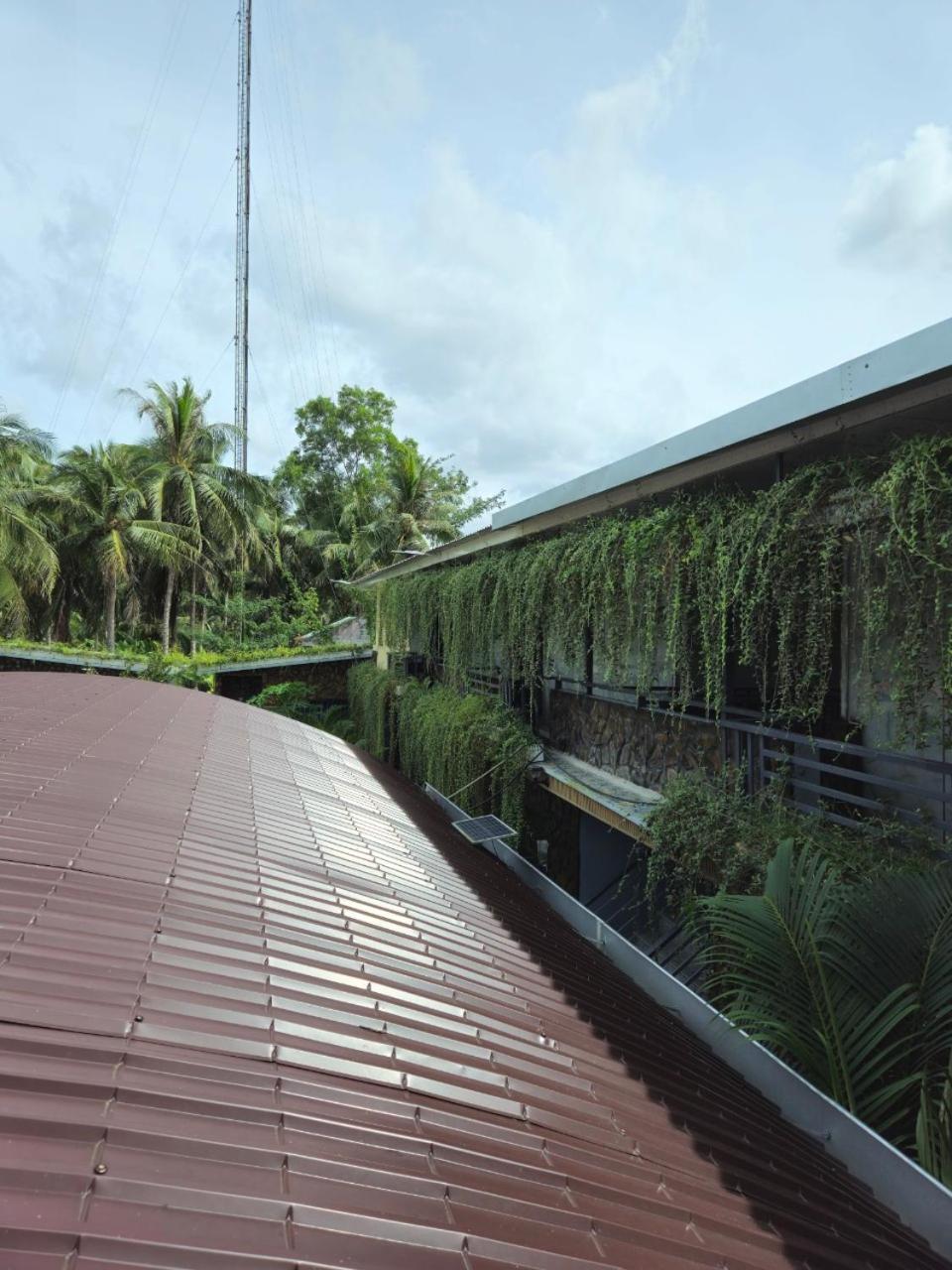 Homestay Bao Binh Ben Tre Zewnętrze zdjęcie