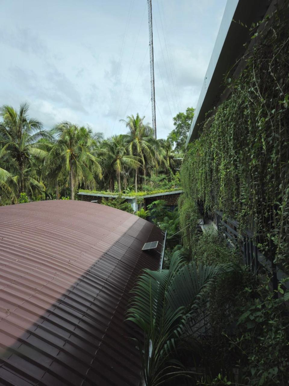 Homestay Bao Binh Ben Tre Zewnętrze zdjęcie