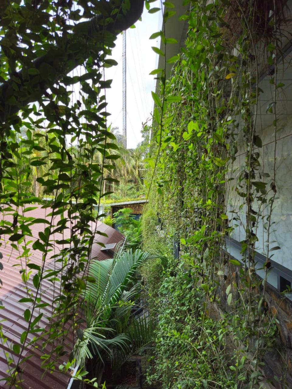 Homestay Bao Binh Ben Tre Zewnętrze zdjęcie