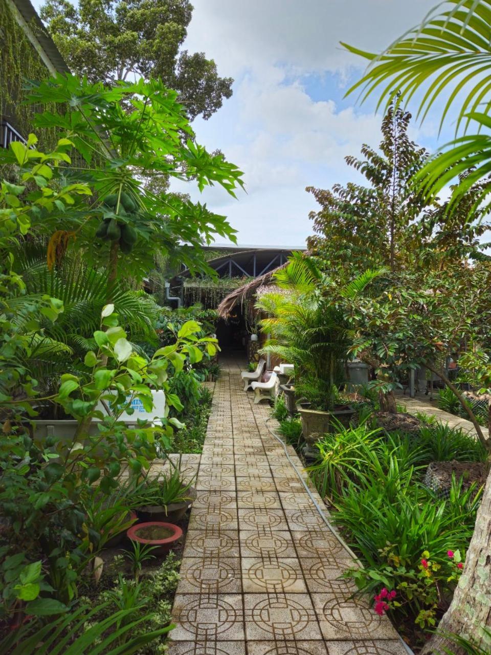 Homestay Bao Binh Ben Tre Zewnętrze zdjęcie